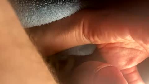 asterwix online show from 21, 9, 2025