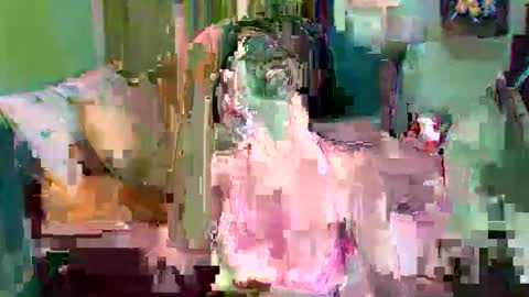 asuntapony online show from 11, 9, 2025