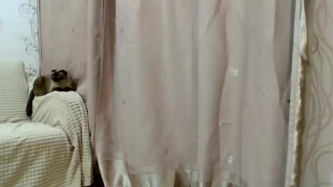 Snapshot of aurora_breeze chatting on 25, 2, 2026 Kiara Xanthe online show from 25, 2, 2026