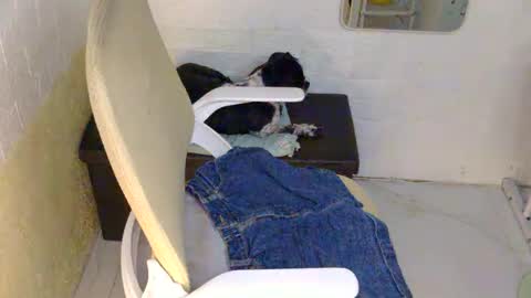 Rhian online show from 9, 9, 2025