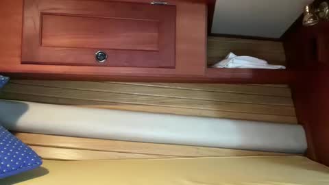 avgdiver online show from 27, 10, 2025