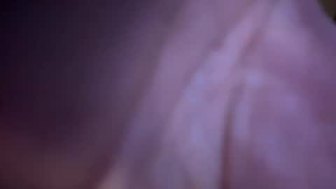 Snapshot of baby_buddha chatting on 29, 1, 2025 baby buddha online show from 29, 1, 2025