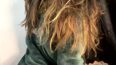 Baby online show from 5, 3, 2025