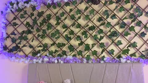 Snapshot of baby_xian chatting on 19, 12, 2024  Dani  online show from 19, 12, 2024