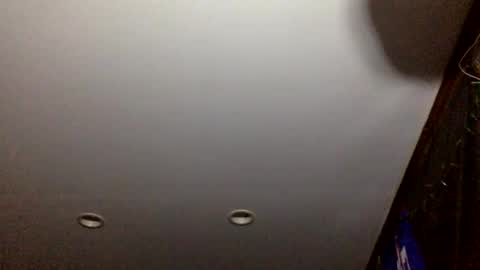 bagchaserbih online show from 2, 4, 2026