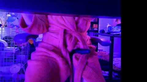 Bailey  online show from 12, 4, 2026