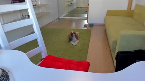 Kira online show from 20, 3, 2026