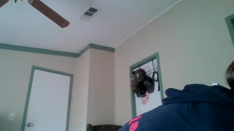 bamacpl80 online show from 27, 12, 2024