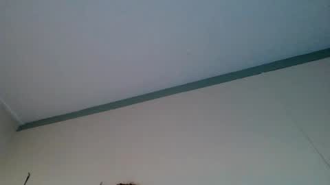 bamacpl80 online show from 2, 1, 2025