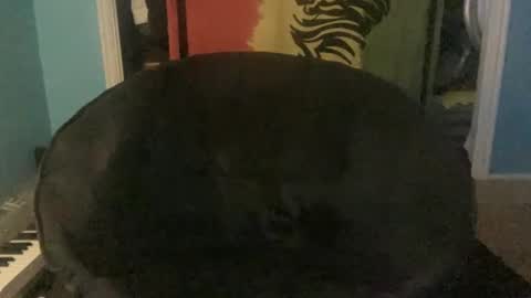 Snapshot of bananaboy420720 chatting on 16, 9, 2025 bananaboy420720 online show from 16, 9, 2025