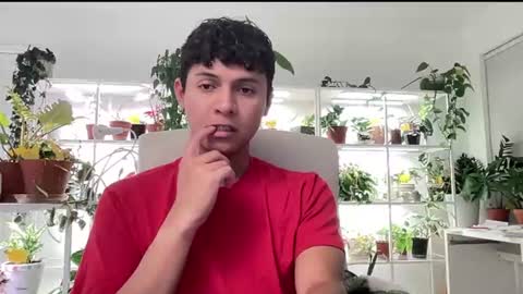 Basicflxp online show from 15, 7, 2026