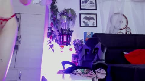    online show from 28, 3, 2026