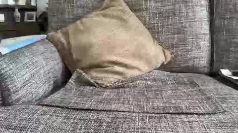 baykiwi54 online show from 11, 2, 2026