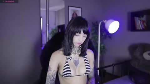 Snapshot of bayonetta_doll chatting on 3, 3, 2026 BAYONETTA DOLL online show from 3, 3, 2026