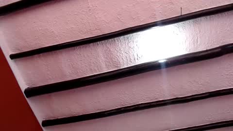 bayonette_black online show from 7, 3, 2025