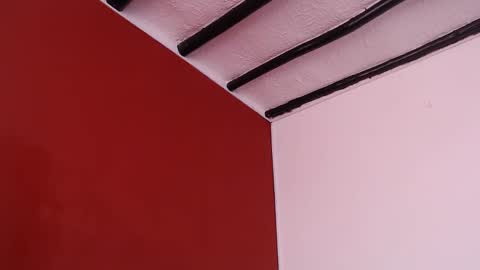 bayonette_black online show from 10, 9, 2025