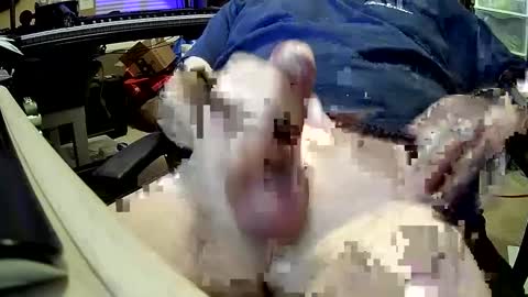 bb5199bb online show from 27, 12, 2024