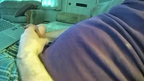 bcema2 online show from 6, 1, 2026