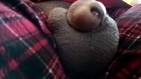 Snapshot of bcfalcon69 chatting on 1, 6, 2026 bcfalcon69 online show from 1, 6, 2026