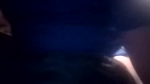 bcmow123 online show from 22, 2, 2026