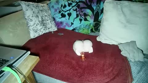 mikiforfun online show from 18, 11, 2025