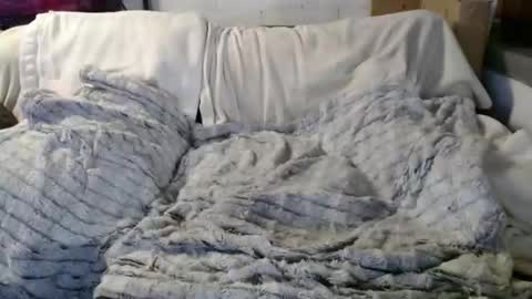 Snapshot of beachymilf chatting on 18, 12, 2025 BeachyMILF online show from 18, 12, 2025