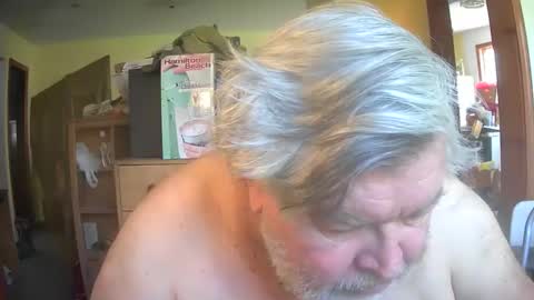 bear online show from 26, 4, 2026