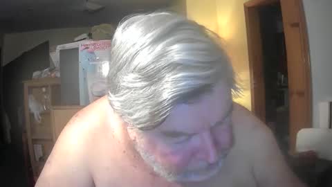 bear online show from 27, 4, 2026