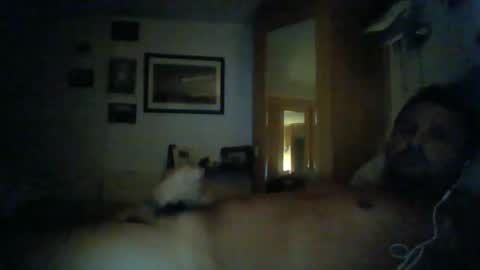 bearboudior online show from 11, 1, 2025