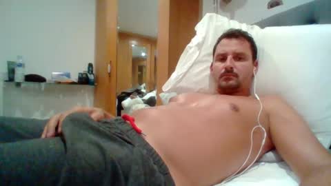 bearboudior online show from 16, 6, 2026