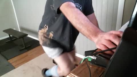 bearfer online show from 6, 3, 2026