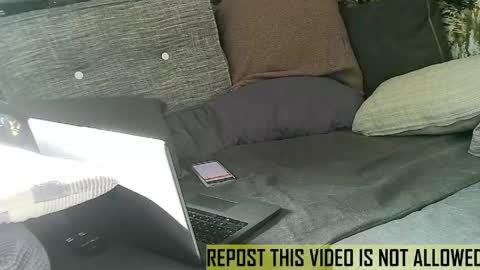 Snapshot of bearlov1 chatting on 14, 5, 2026 bearlov1 online show from 14, 5, 2026