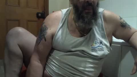 bearsteve75 online show from 12, 3, 2025