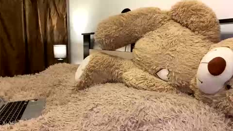 Nik online show from 7, 3, 2026