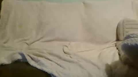 Beauty online show from 23, 10, 2025