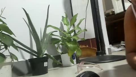 bebesita online show from 11, 4, 2026