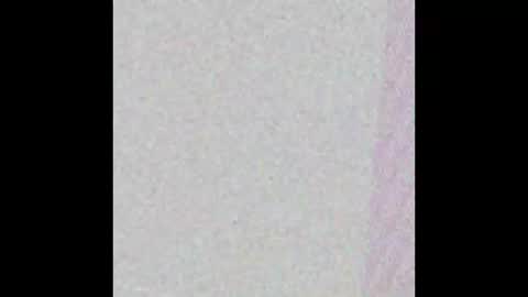 Snapshot of bedstuymonstercock90 chatting on 1, 11, 2025 hungnheavy online show from 1, 11, 2025