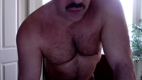Beefy online show from 22, 3, 2026