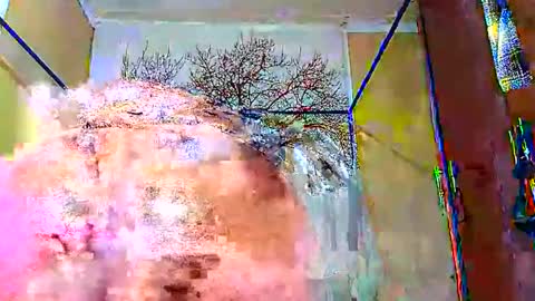 beencee2 online show from 12, 1, 2025