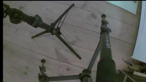 Mia online show from 3, 12, 2025