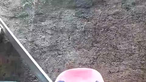 Snapshot of belalicious chatting on 28, 2, 2025 Tezza online show from 28, 2, 2025