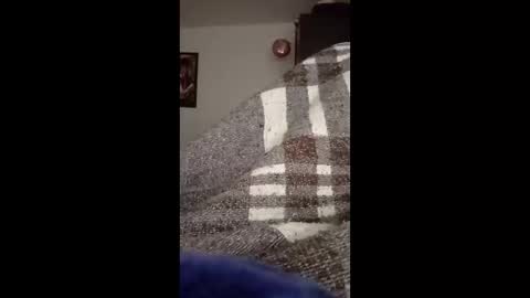 belcebu472402 online show from 2, 11, 2025