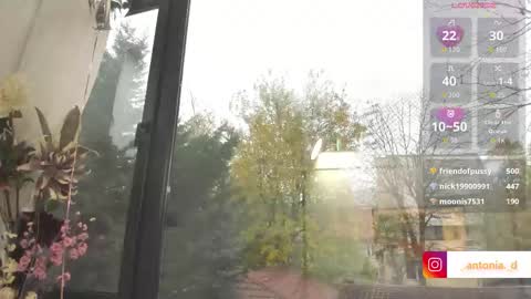 bella_posh online show from 27, 11, 2025