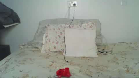 bellah online show from 24, 2, 2026