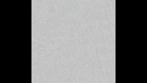 Bella online show from 19, 2, 2026