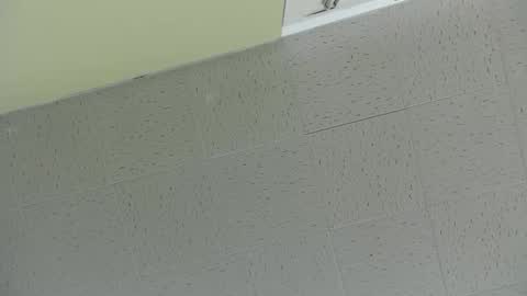 Ben online show from 2, 3, 2025