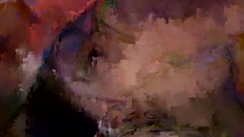Snapshot of bentito2 chatting on 1, 7, 2026 bentito2 online show from 1, 7, 2026