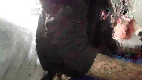 ToxicPipe757 online show from 4, 11, 2025