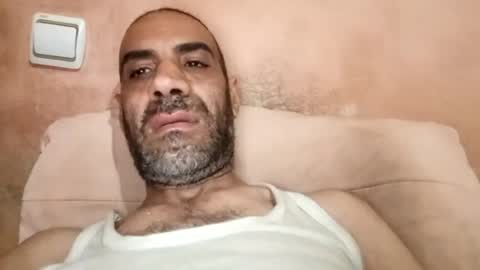 Cock arabic Authentic online show from 15, 6, 2026