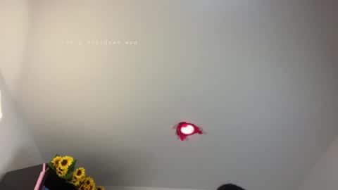 Bianca Mirage online show from 7, 4, 2026